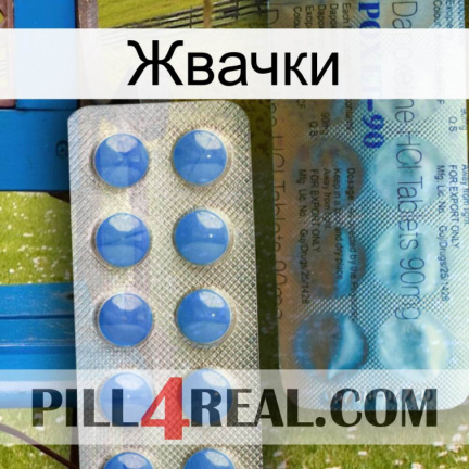 Жвачки 40